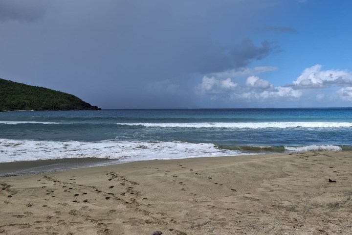 a group of people on a beach