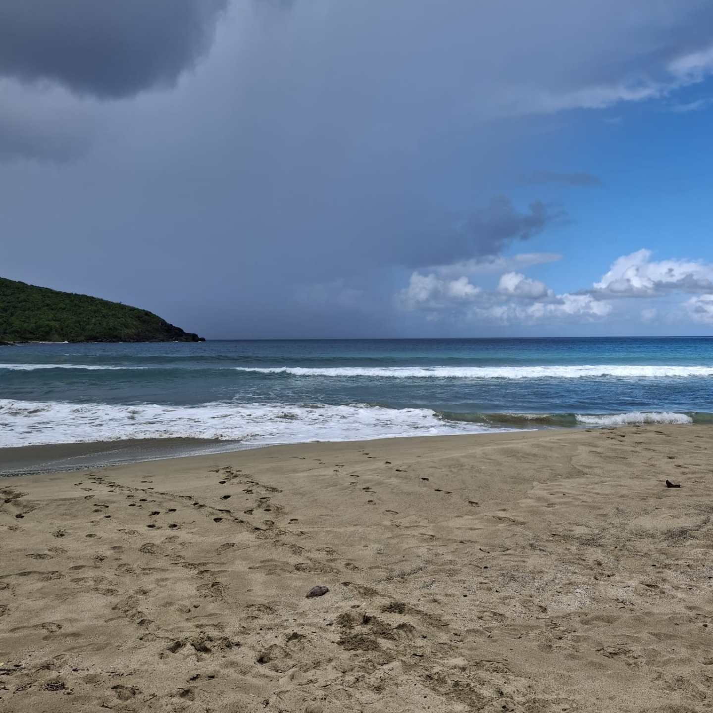 a group of people on a beach